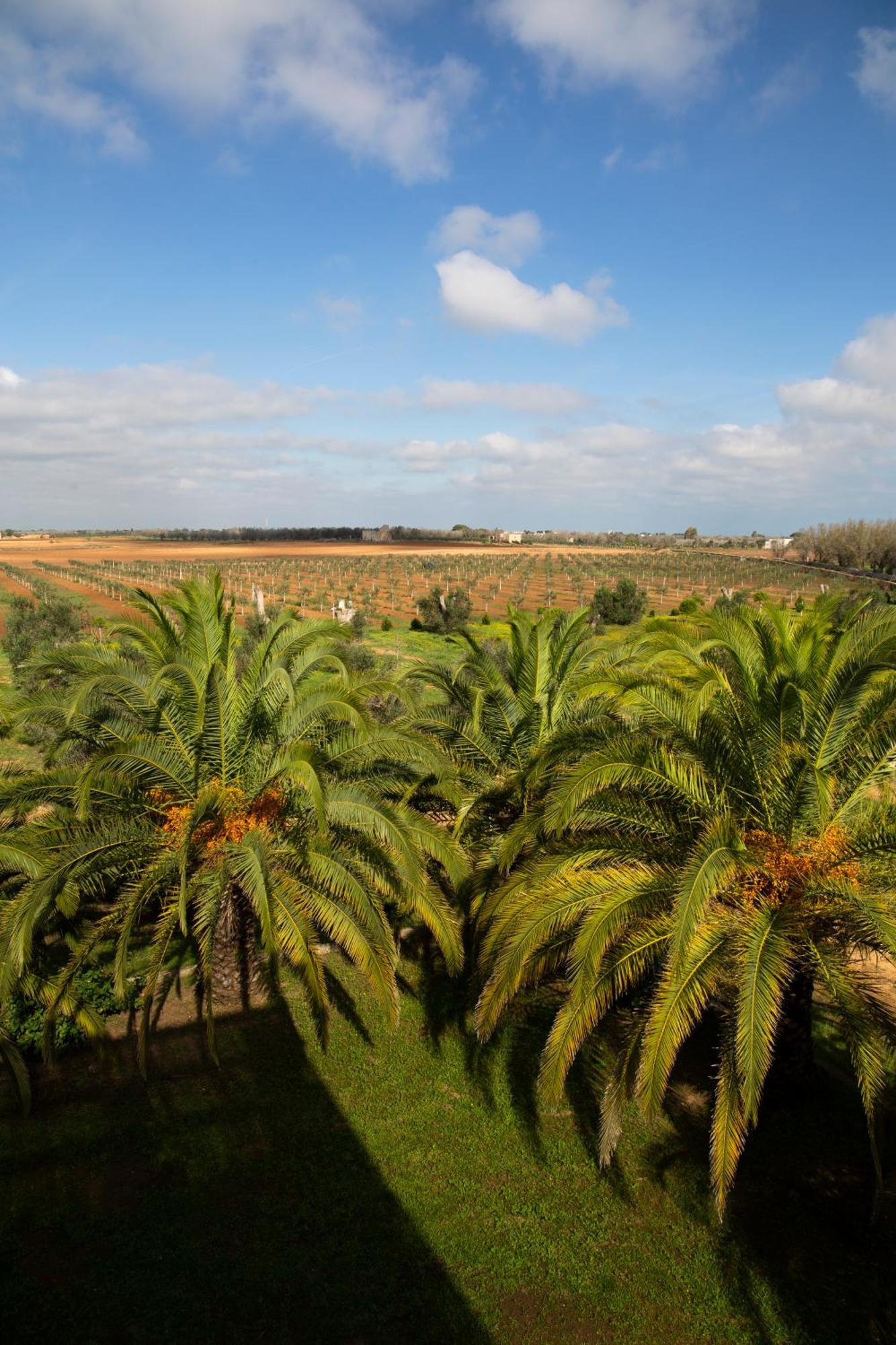 Tenuta Afra Squinzano Exterior foto